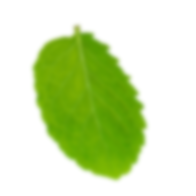 Sorbeval Mayorista de sorbetes menta2